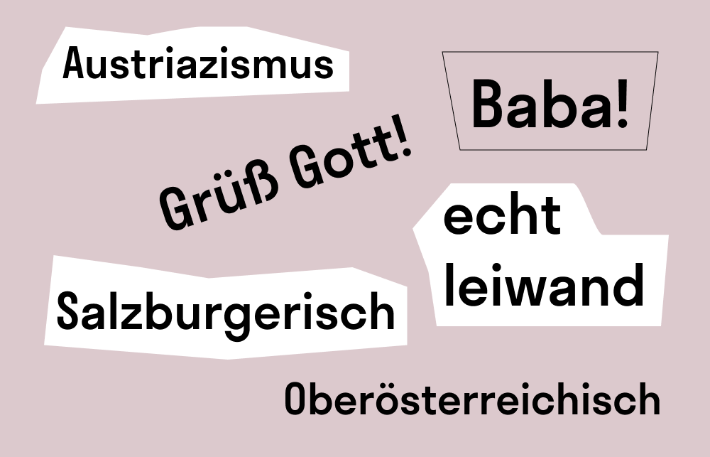 Österreichisches Deutsch — национальный вариант немецкого языка в Австрии, отражающий языковые особенности речи австрийцев