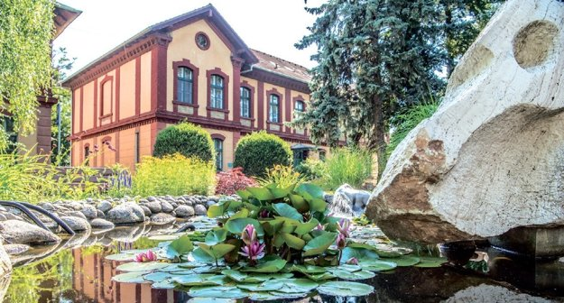 Университет ветеринарной медицины и фармацевтики в Кошице - фото 24 Университет ветеринарной медицины и фармацевтики в Кошице