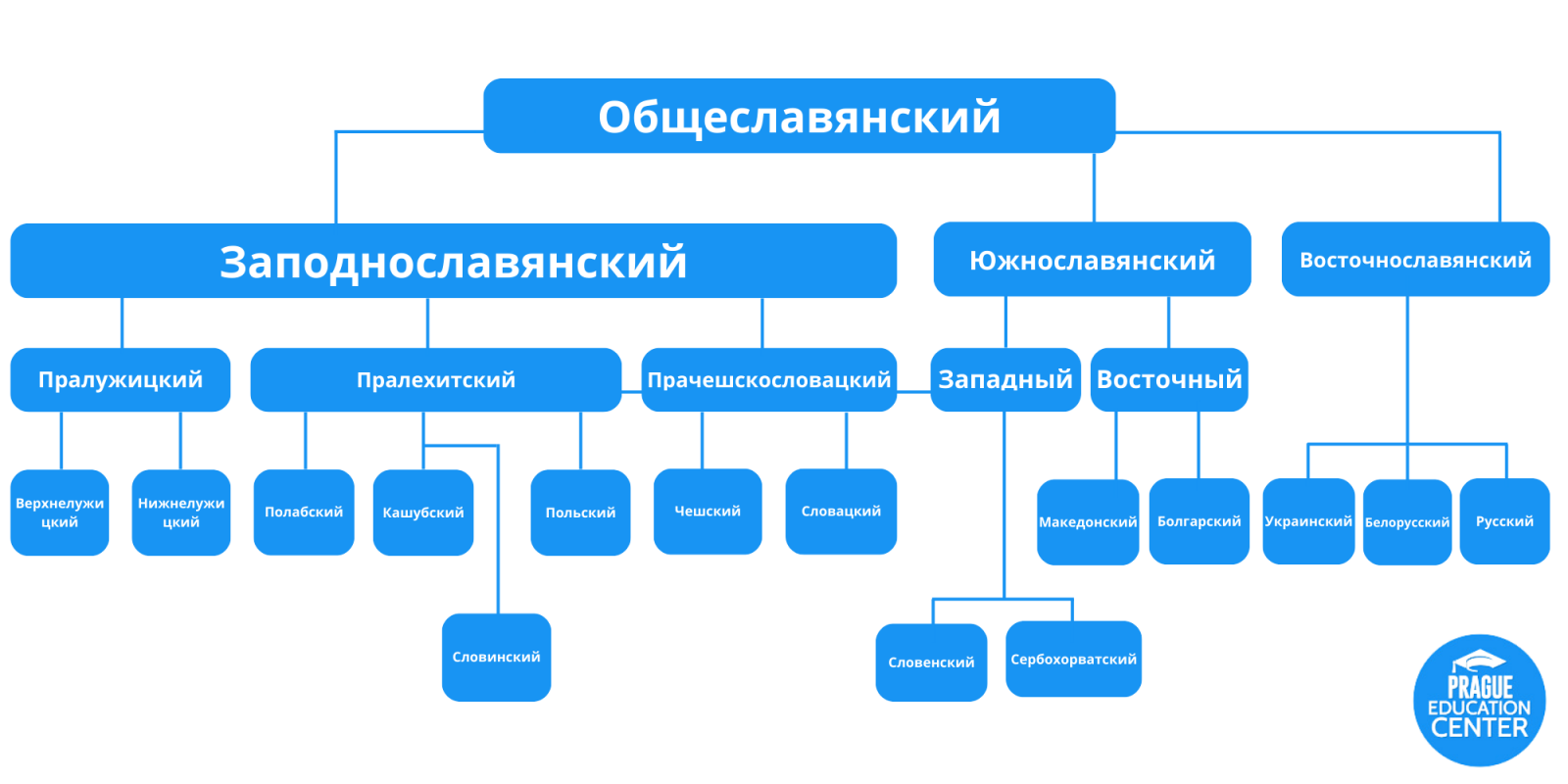 схема славянских языков